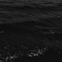 REVEAL (Demo Versions)