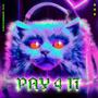 Pay 4 It (Explicit)