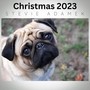 Christmas 2023