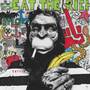 MONKEY RULES (Explicit)