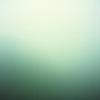 Whispers in the Fog