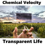 Transparent Life