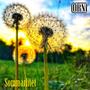 Sommarlitet
