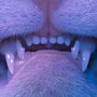 GATTINI (Explicit)