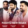 Pashto New Song (feat. Hamayoun Angar, Homayun Sahebzai & Bahir Amiri)