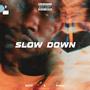 Slow Down (feat. Bility)