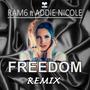 FREEDOM (remix)