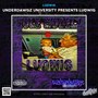 Underdawgz University Presents. Ludwig Role Modelz (Explicit)