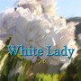 White Lady