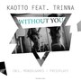 Without You (Remix'es)