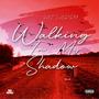 Walking In My Shadows (Explicit)