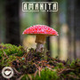 Amanita