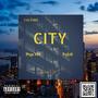 Culture City (feat. Tha Dutch) [Explicit]