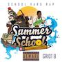 Summer School