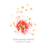 Hope Springs Eternal:A Tribute To Nujabes