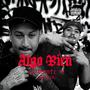 ALGO BIEN (feat. Shegar 656) [Explicit]