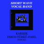 Karışık Disco / Türkü / Fasıl (feat. Jazz Band Studio Orchestra)