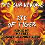 Eye Of Tiger (Mr. Free Remix)