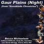 Gaur Plains (Night) (From 