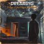 Dreaming (feat. Lace Payne & MrMinus) [Explicit]