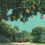 Mango Mood