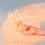 命中注定(柔情版)
