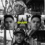 Shark (feat. TYPE 1 & 7vn) [Explicit]