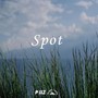 Spot