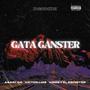 GATA GÁNSTER (feat. Victor Luis & Virrey El Escritor) [Explicit]