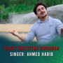 Gilgit Baltistan Zindabad