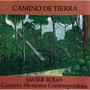 Camino de Tierra