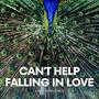 Can’t Help Falling in Love