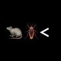 Rats and Roaches (Explicit)