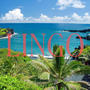 LINGO (feat. OKS, CnTdi3 & Jkroon) [Explicit]