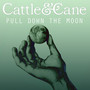 Pull Down the Moon - Single