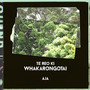 Te Reo Ki Whakarongotai
