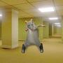 Rat