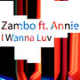 I Wanna Luv (feat. Annie) - Single