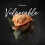 Vulnerable (Explicit)