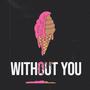 Without You