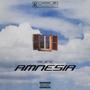 AMNESIA (Explicit)