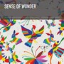 Sense of Wonder