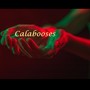 Calabooses