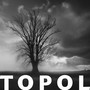 TOPOL