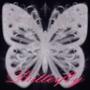 Butterfly (Explicit)