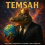 Temsah (feat. Behzad Leito, Tiem, Pouriya Adroit, Ali Geramy, Vinak & HesamTiem) [Remix] [Explicit]