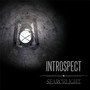 Introspect (Explicit)