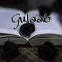 Gulaab (feat. Rikky) [Explicit]