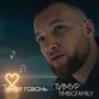 Тихая гавань
