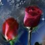 basket of roses (feat. imnotvrycreative) [Explicit]